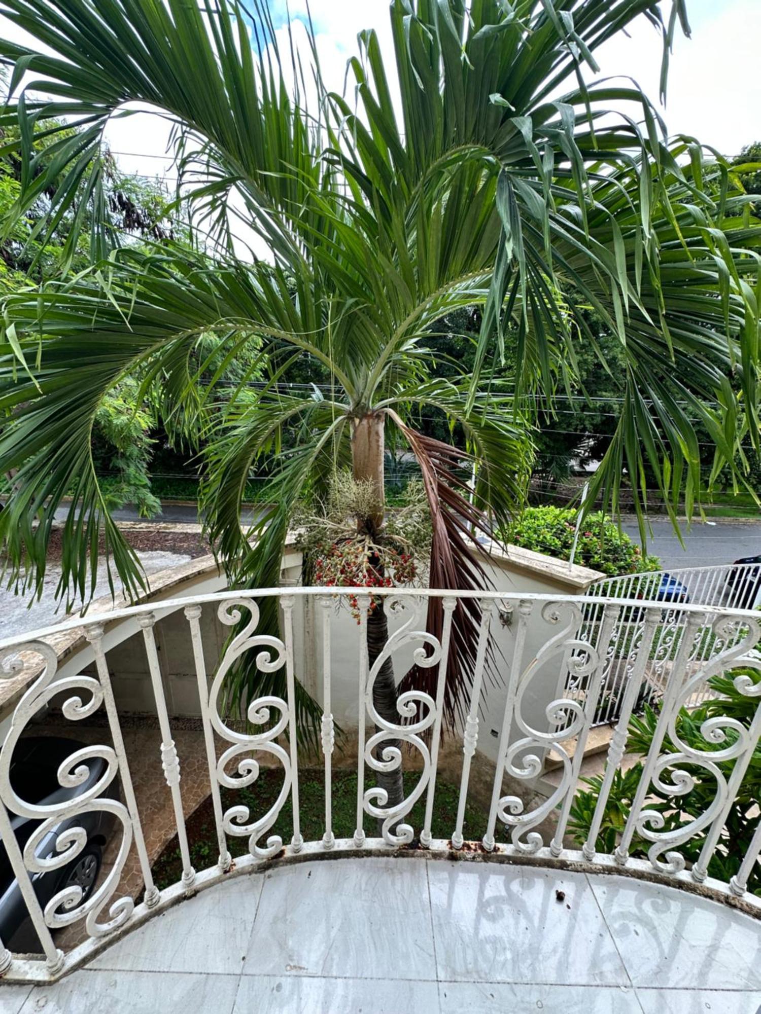 Casa Sasha'S Mini Palace แคนคูน ภายนอก รูปภาพ